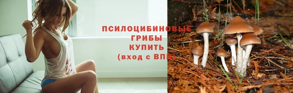 ECSTASY Алексин