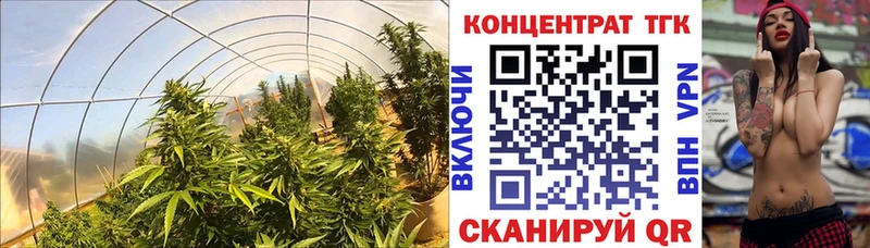 Дистиллят ТГК Wax  Волжский 